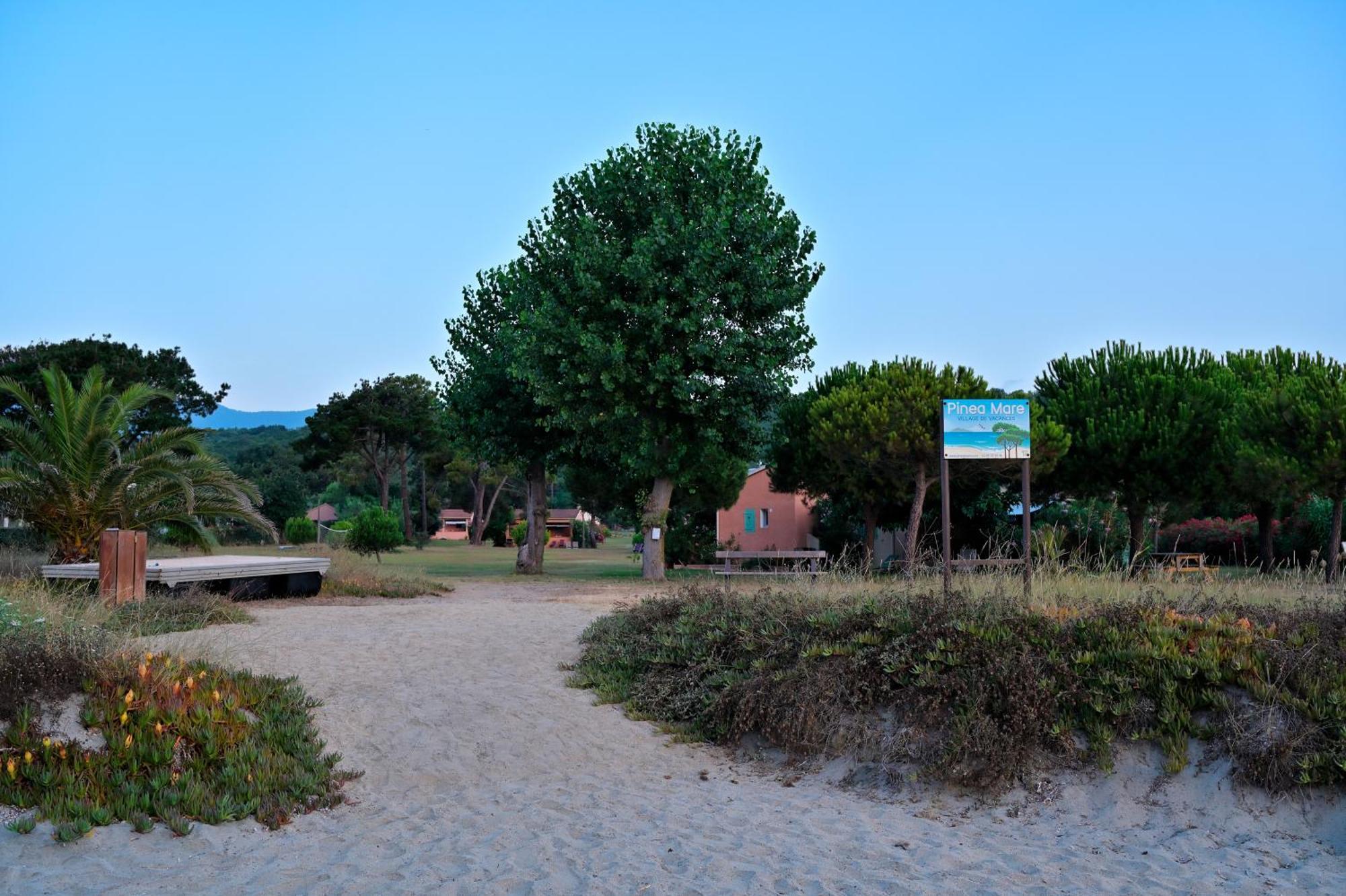 Pinea Mare Hotel Poggio Mezzana ภายนอก รูปภาพ