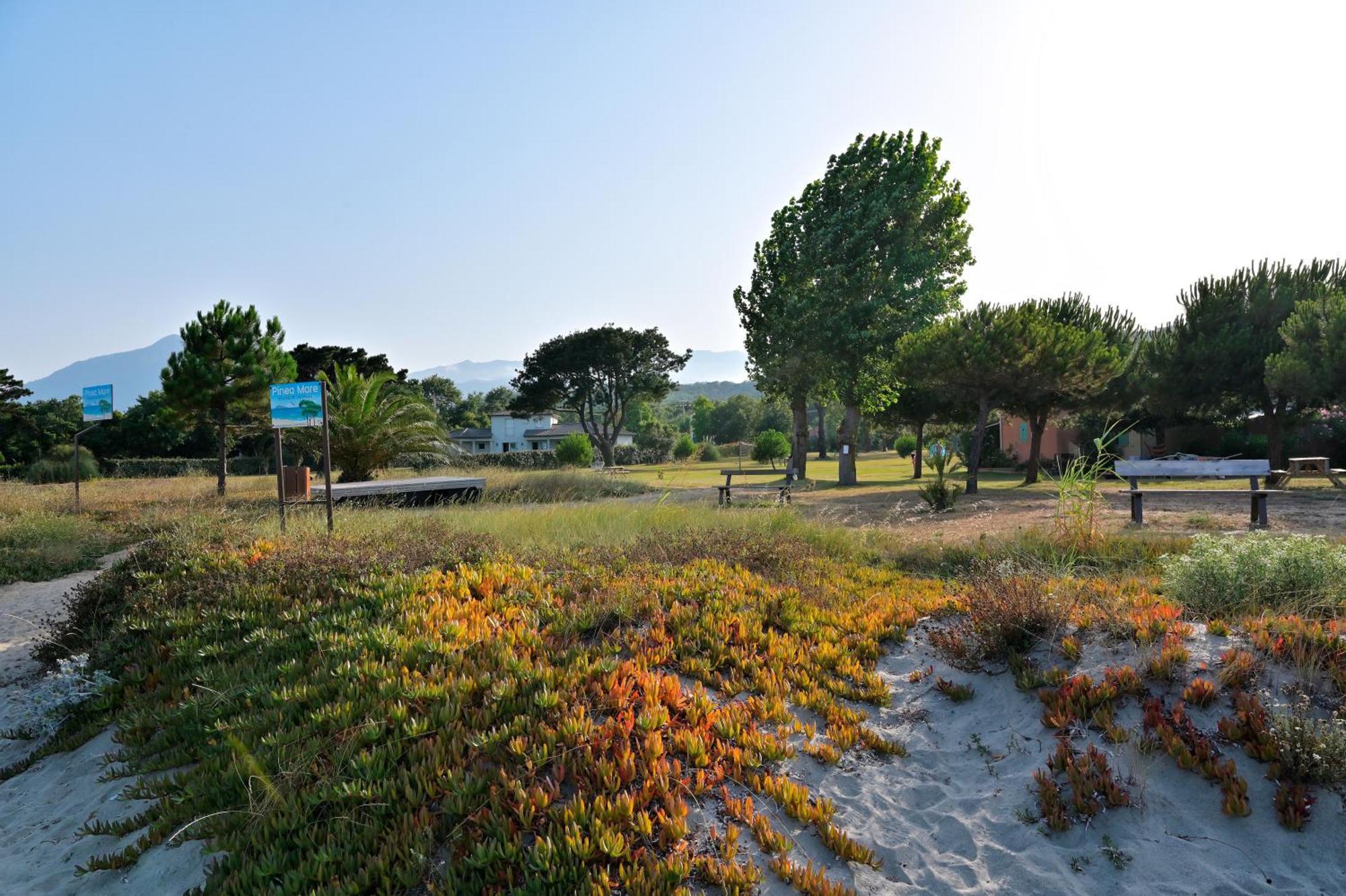 Pinea Mare Hotel Poggio Mezzana ภายนอก รูปภาพ
