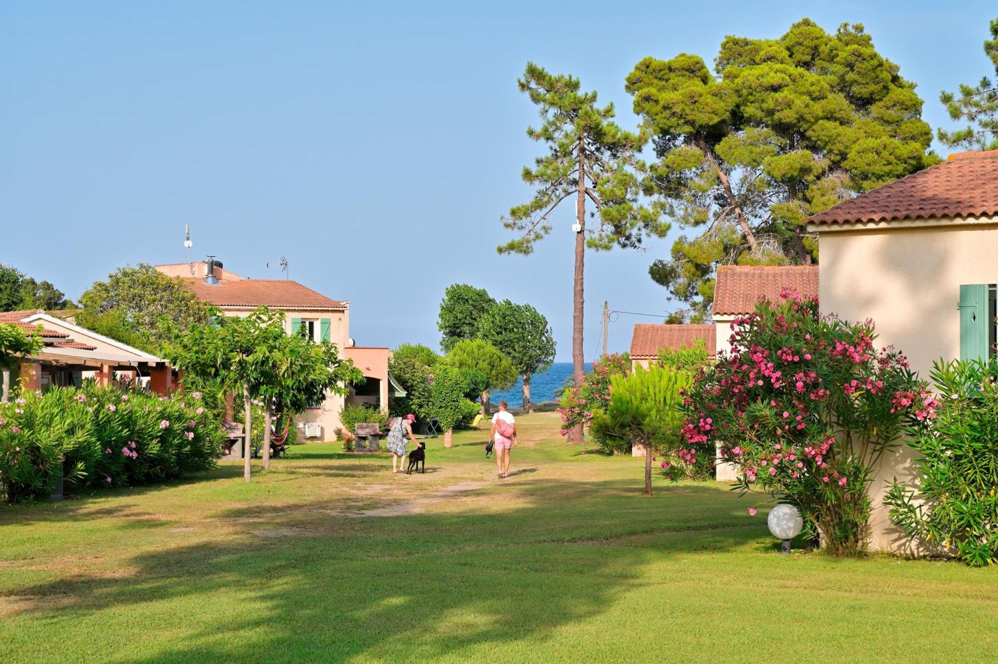 Pinea Mare Hotel Poggio Mezzana ภายนอก รูปภาพ